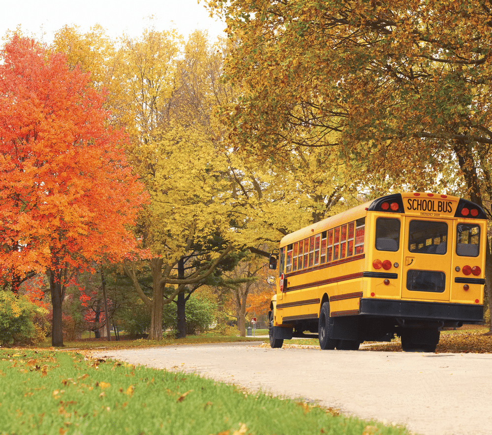Where Public Education and Public Health Meet