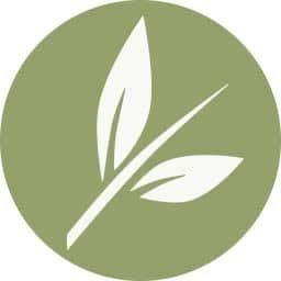 Simple IEP Logo